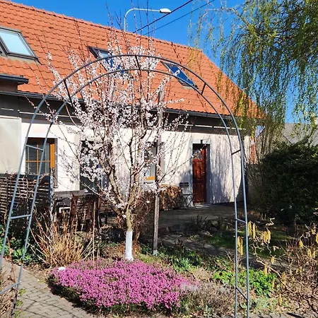 Yasne Острава