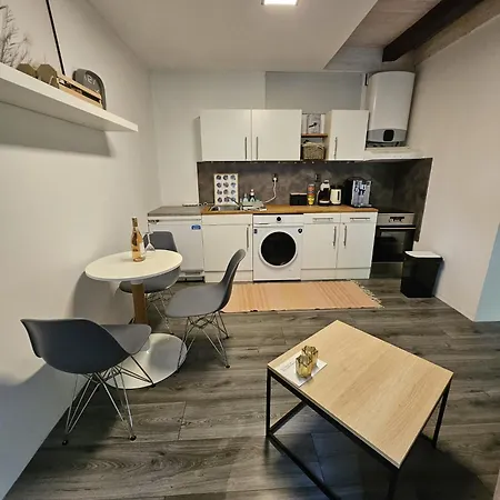 Yasne 公寓 俄斯特拉发