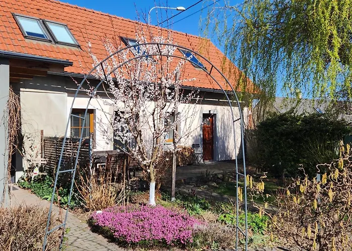 Yasne Острава